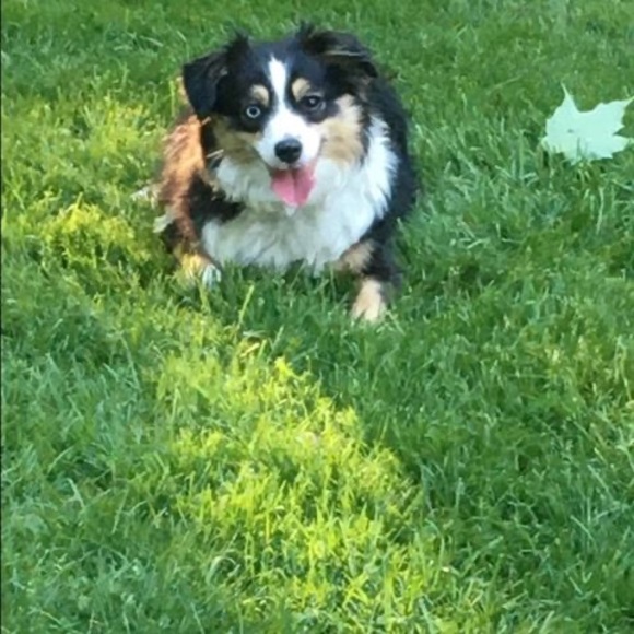 Meet your Posher, Becca - Picture 1 of 1